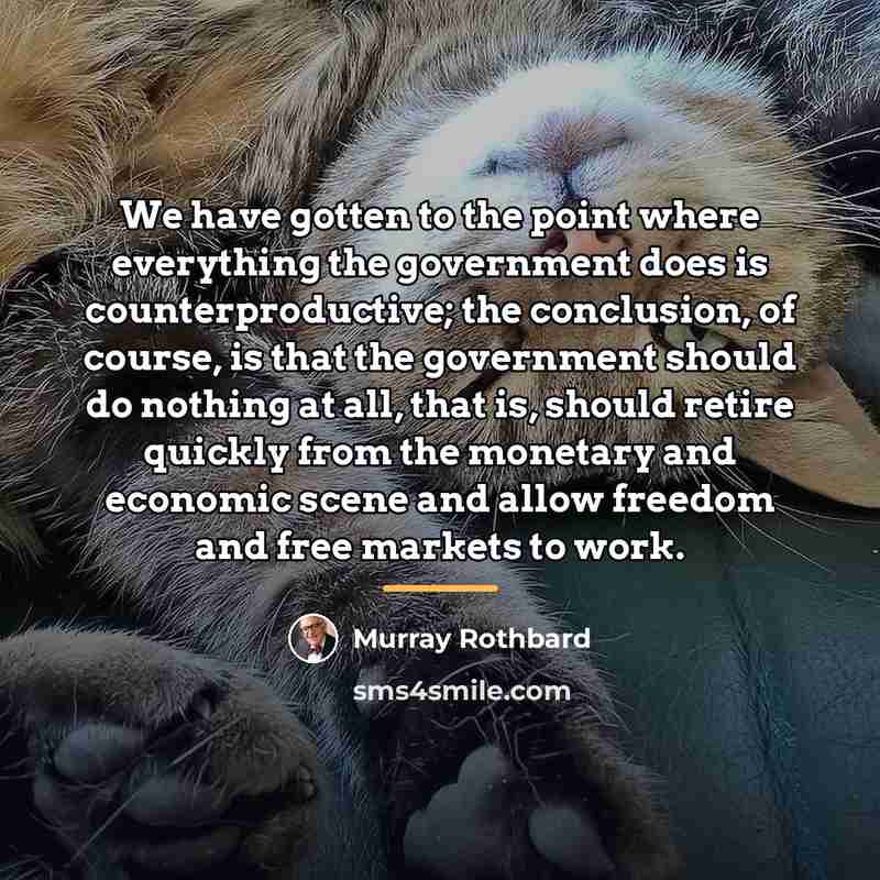 “We have gotten to the point where everything the government…” quote by Murray Rothbard