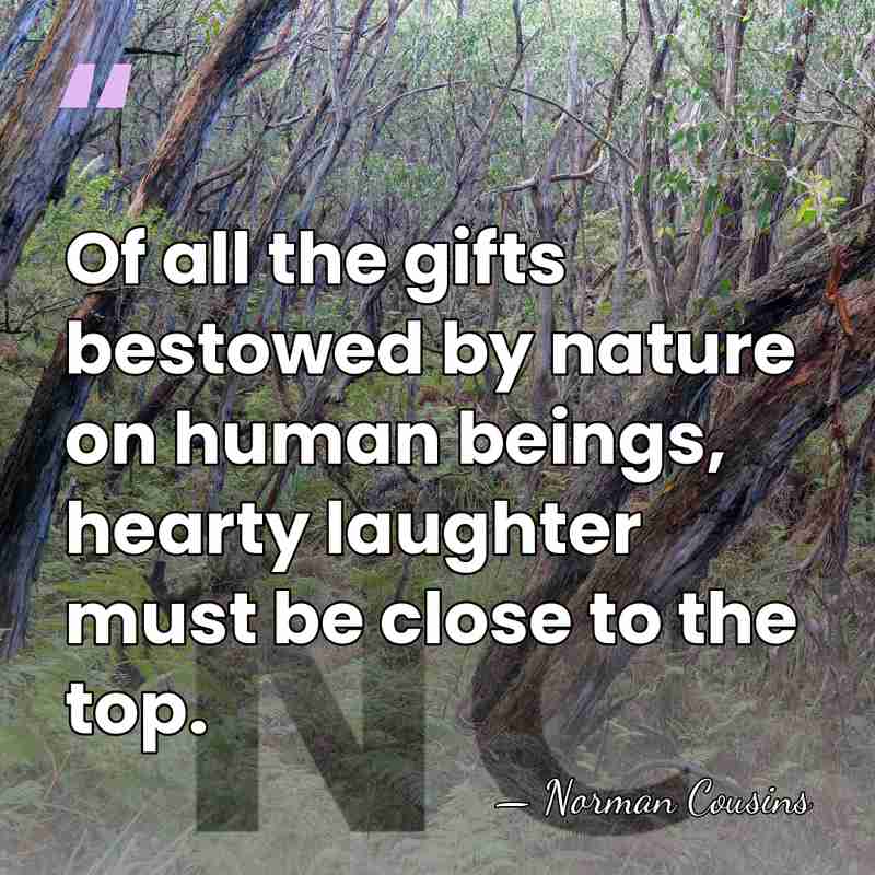 Of all the gifts bestowed by nature on human beings, hearty laughter&hellip; - Norman Cousins