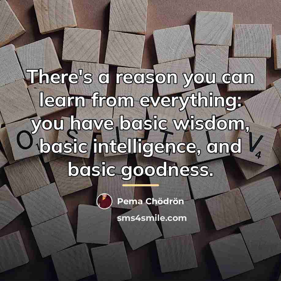 “There's a reason you can learn from everything: you have…” quote by Pema Chodron