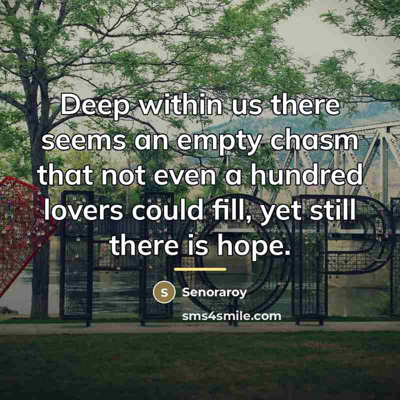 “Deep within us there seems an empty chasm that not…” quote by Senoraroy