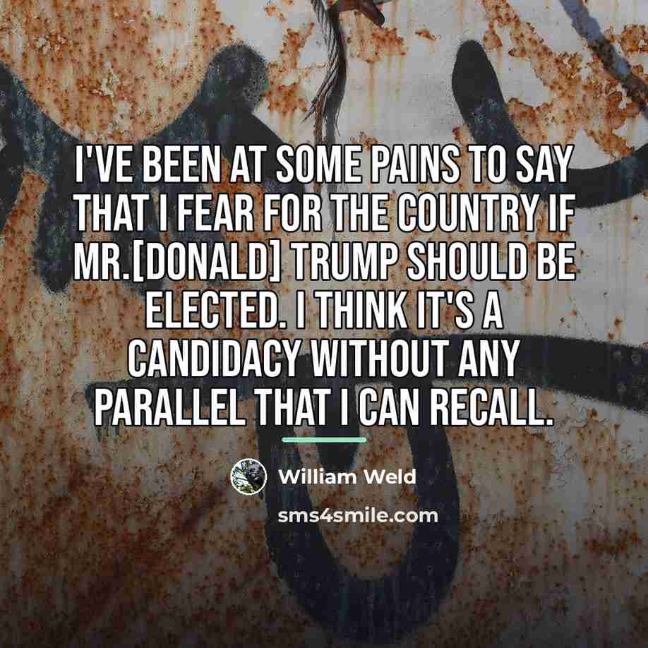 “I've been at some pains to say that I fear…” quote by William Weld