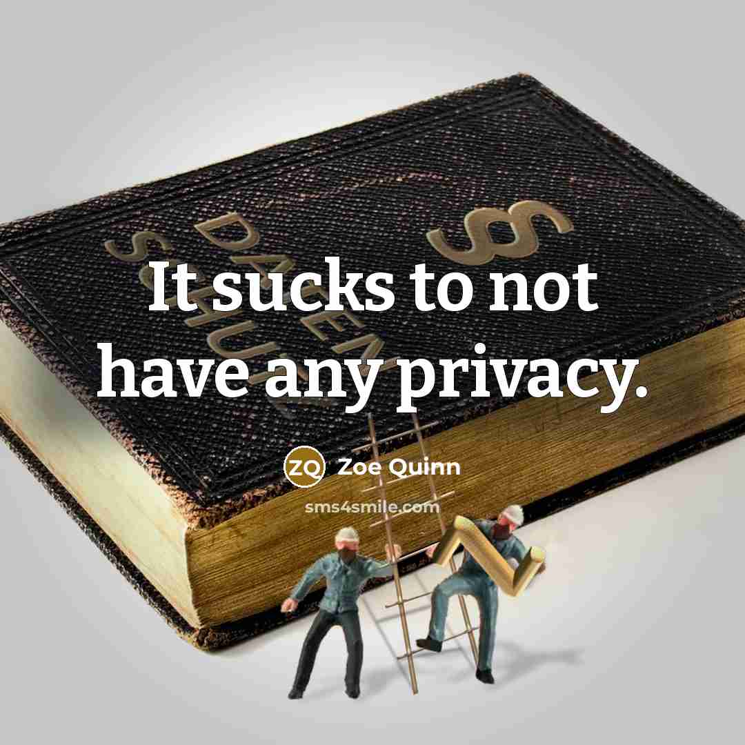 “It sucks to not have any privacy.…” quote by Zoe Quinn