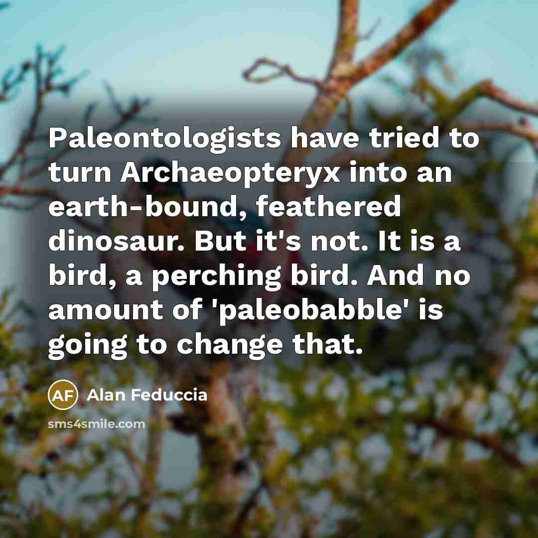 “Paleontologists have tried to turn Archaeopteryx into an earth-bound, feathered…” quote by Alan Feduccia