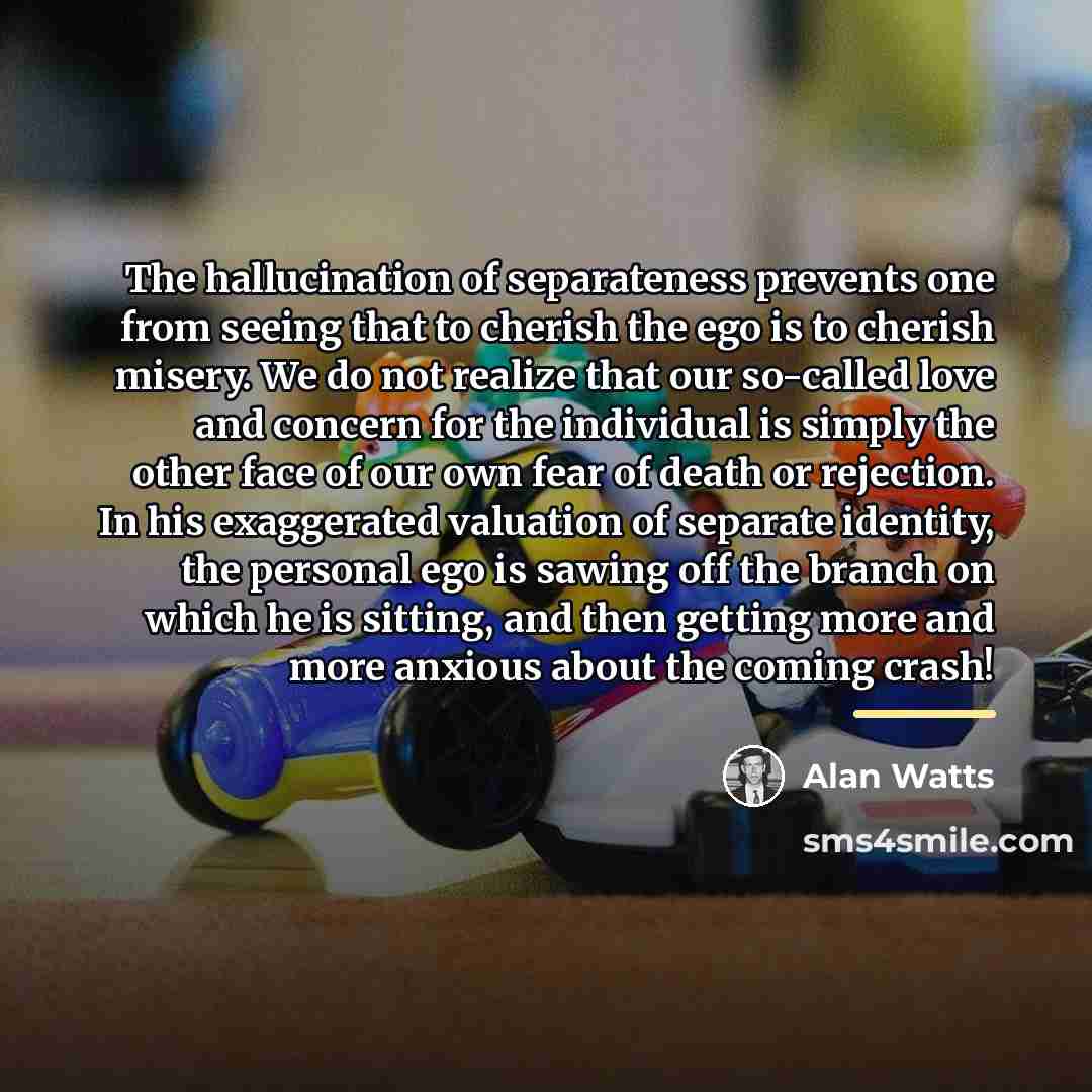 “The hallucination of separateness prevents one from seeing that to…” quote by Alan Watts
