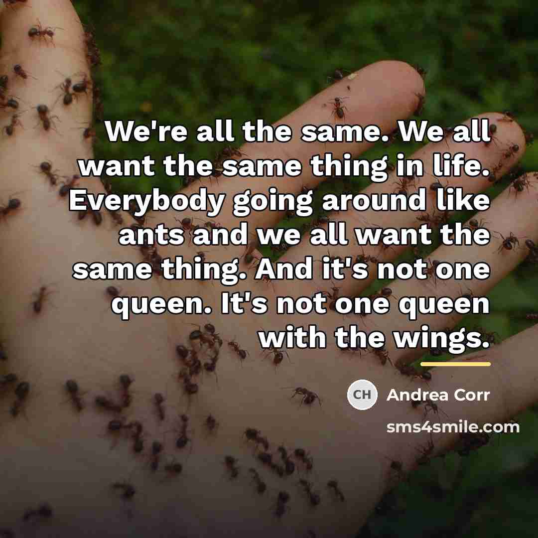 “We're all the same. We all want the same thing…” quote by Andrea Corr