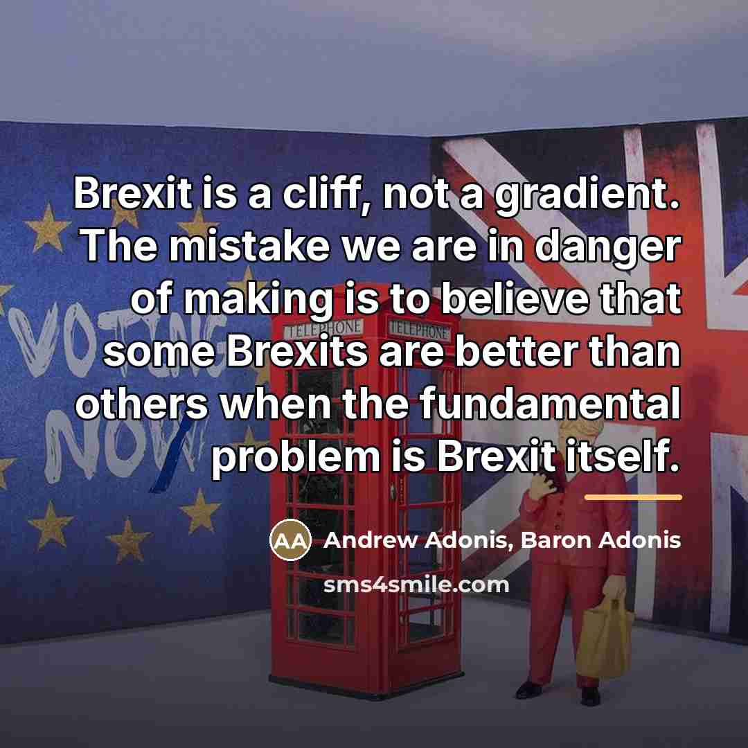 “Brexit is a cliff, not a gradient. The mistake we…” quote by Andrew Adonis, Baron Adonis