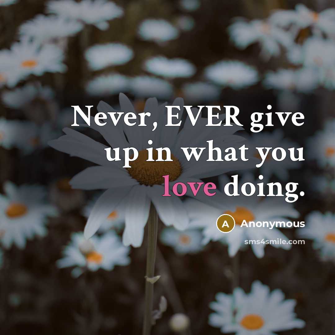 “Never, EVER give up in what you love doing.…” quote by Anonymous