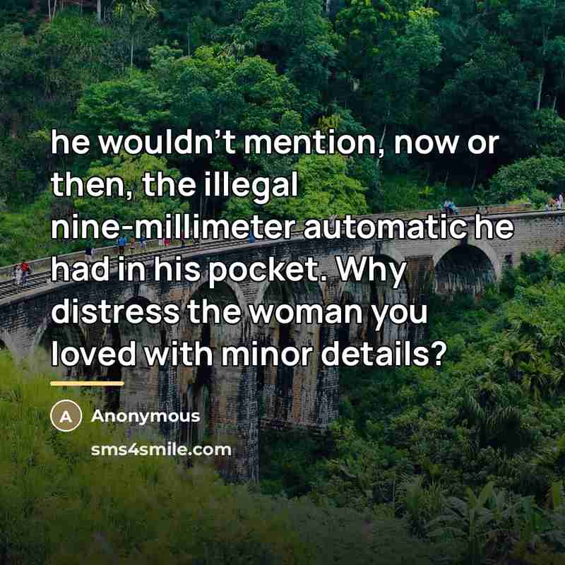 “he wouldn't mention, now or then, the illegal nine-millimeter automatic…” quote by Anonymous