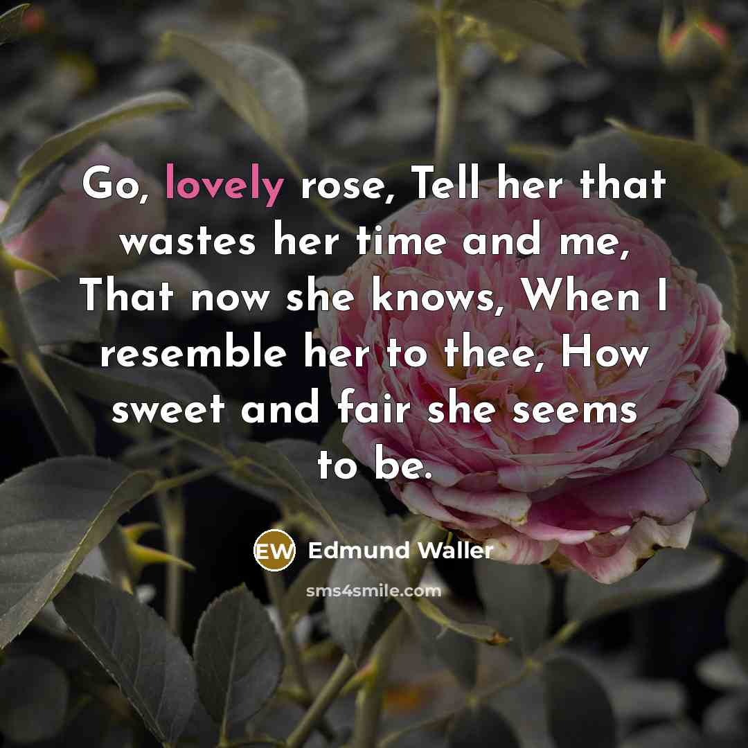 “Go, lovely rose, Tell her that wastes her time and me, That now she knows, When I resemble her to thee, How sweet and fair she seems to be.” quote by Edmund Waller