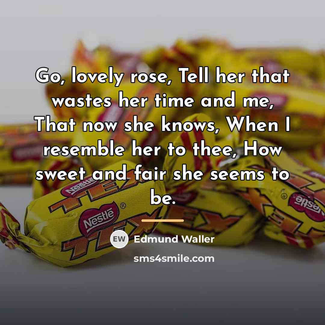 “Go, lovely rose, Tell her that wastes her time and…” quote by Edmund Waller