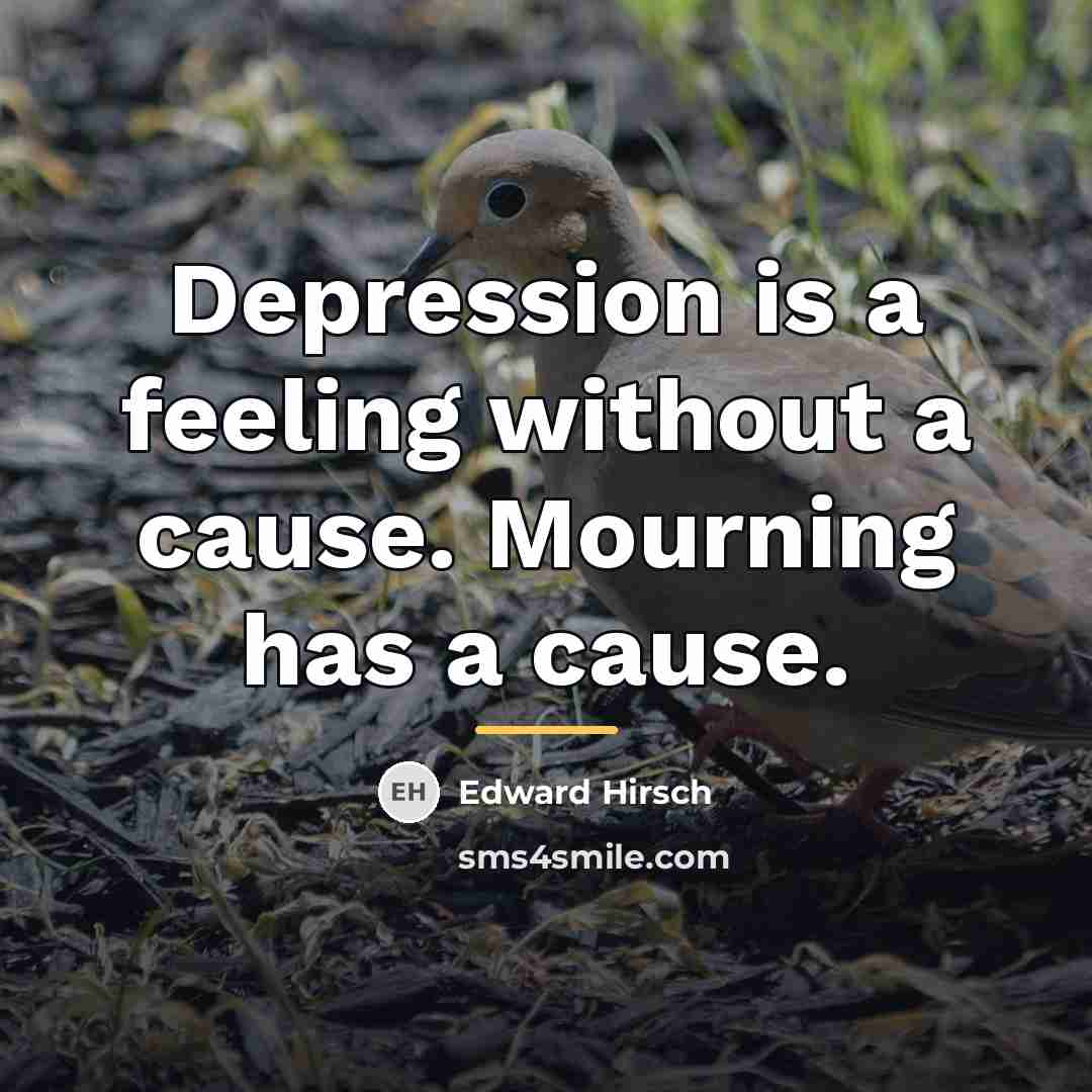 “Depression is a feeling without a cause. Mourning has a…” quote by Edward Hirsch