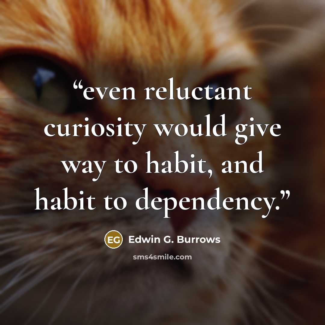 “even reluctant curiosity would give way to habit, and habit to dependency.” quote by Edwin G. Burrows