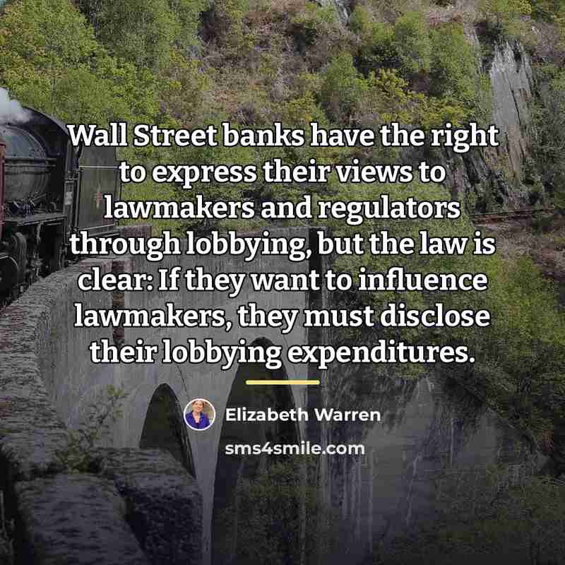 “Wall Street banks have the right to express their views…” quote by Elizabeth Warren