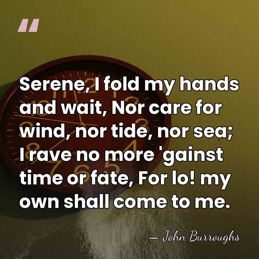 Serene, I fold my hands and wait, Nor care for wind, nor&hellip; - John Burroughs