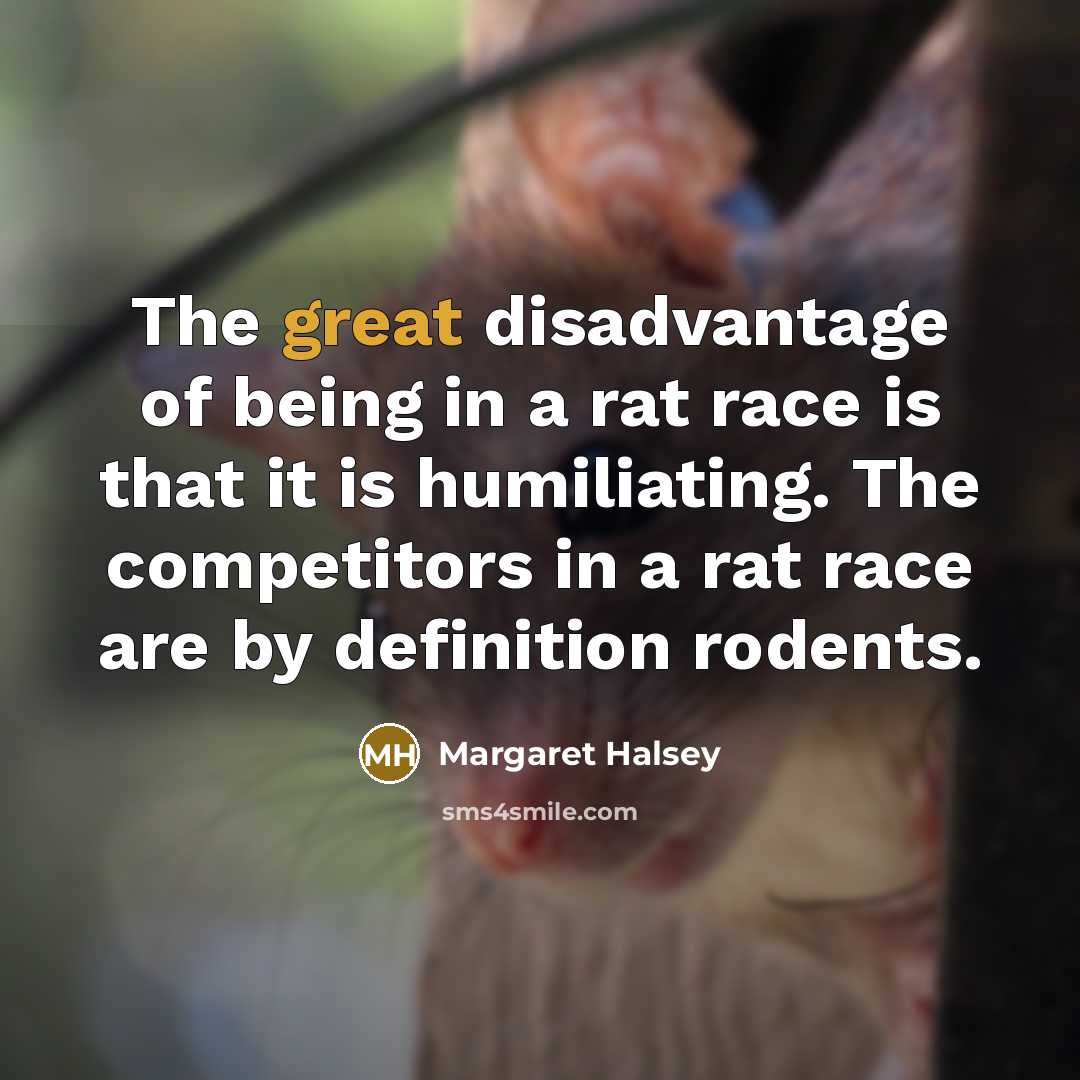 “The great disadvantage of being in a rat race is…” quote by Margaret Halsey
