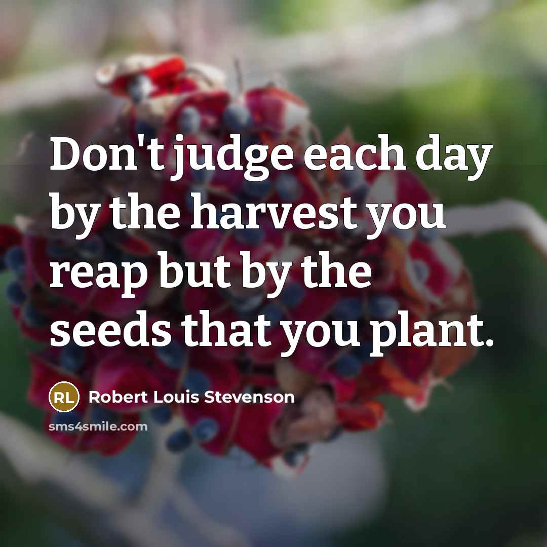 “Don't judge each day by the harvest you reap but by the seeds that you plant.” quote by Robert Louis Stevenson