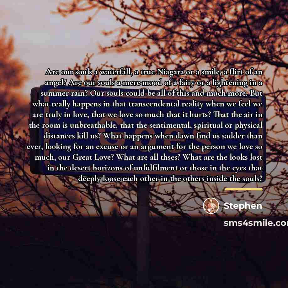 “Are our souls a waterfall, a true Niagara or a…” quote by Stephen