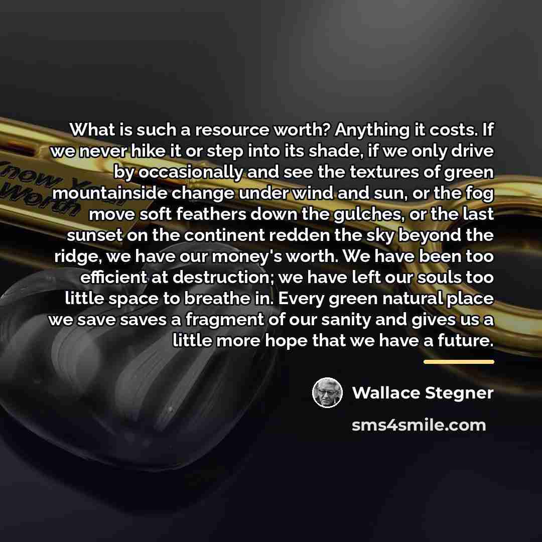 “What is such a resource worth? Anything it costs. If…” quote by Wallace Stegner