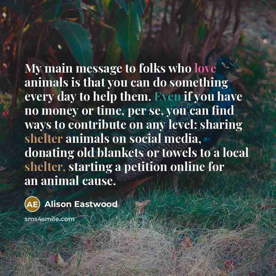 “My main message to folks who love animals is that…” quote by Alison Eastwood