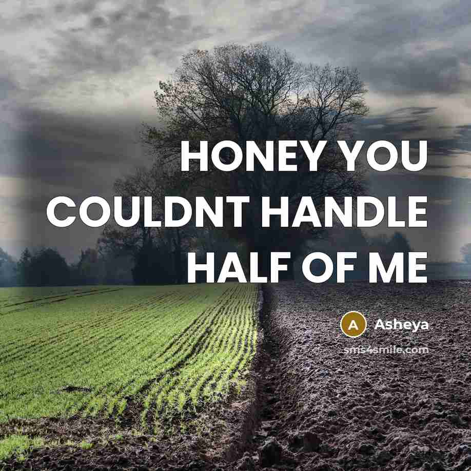 “HONEY YOU COULDNT HANDLE HALF OF ME…” quote by Asheya