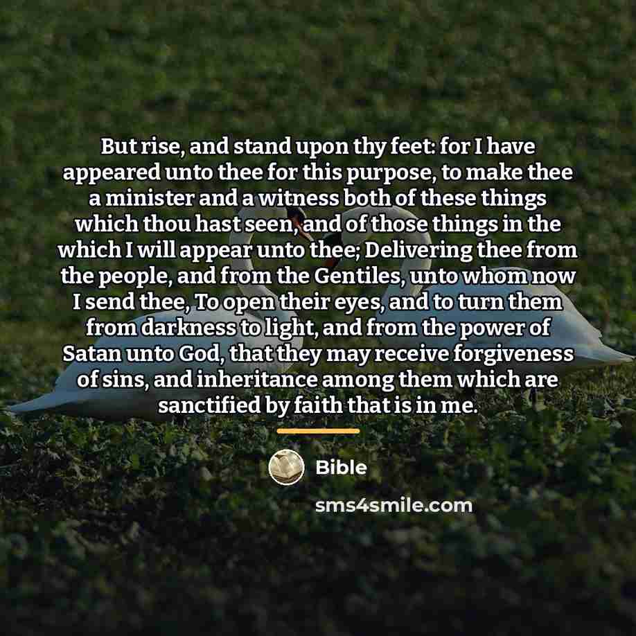 “But rise, and stand upon thy feet: for I have…” quote by Bible