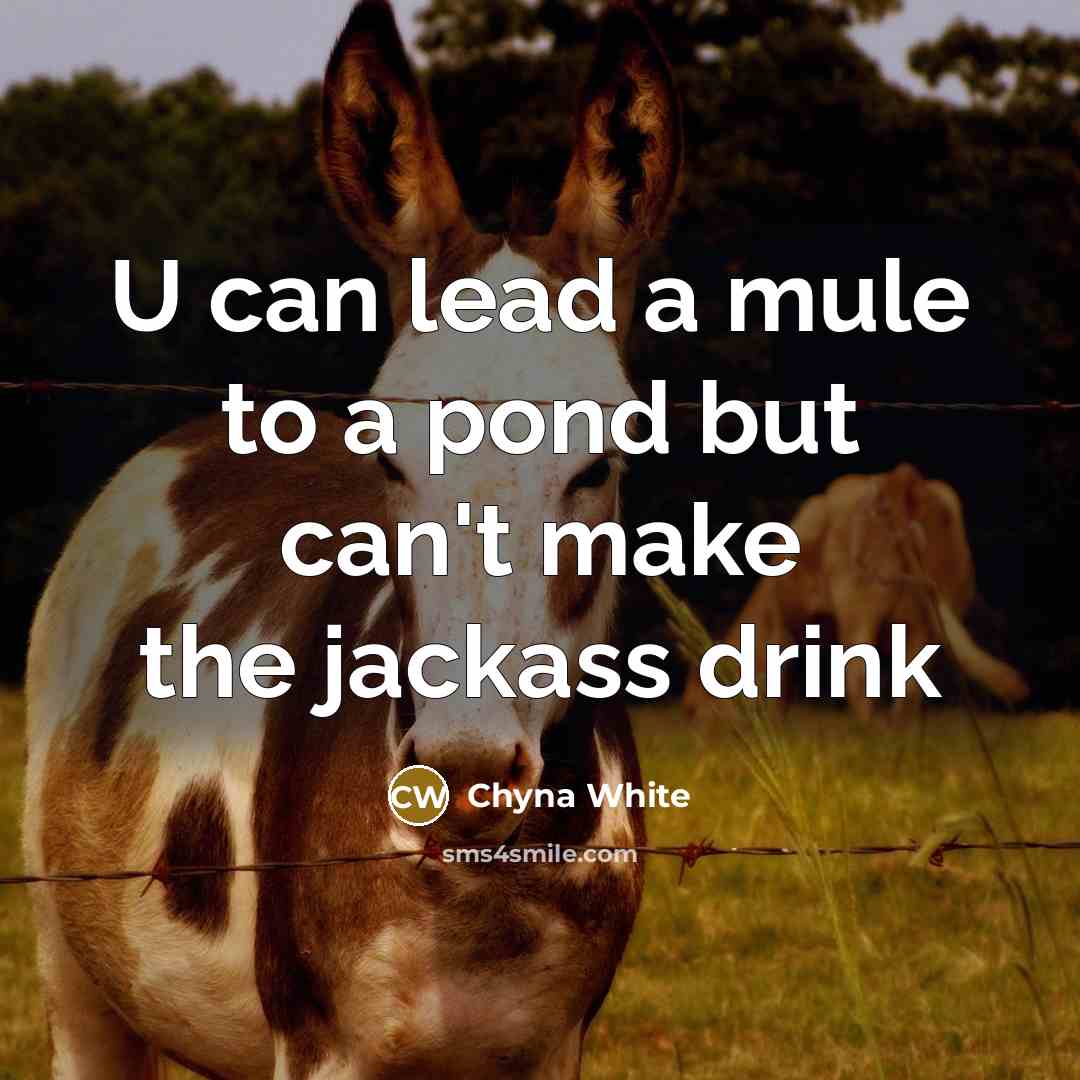 “U can lead a mule to a pond but can't make the jackass drink” quote by Chyna White