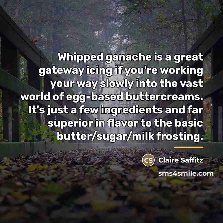 “Whipped ganache is a great gateway icing if you're working…” quote by Claire Saffitz