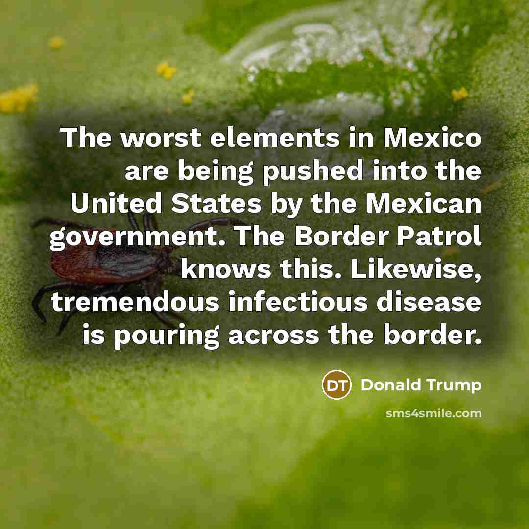 “The worst elements in Mexico are being pushed into the…” quote by Donald Trump