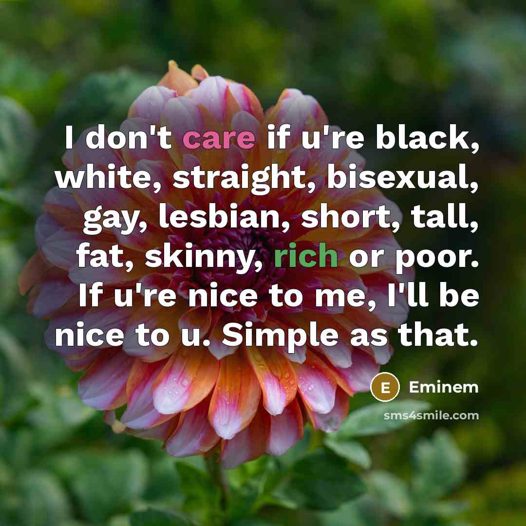 “I don't care if u're black, white, straight, bisexual, gay,…” quote by Eminem