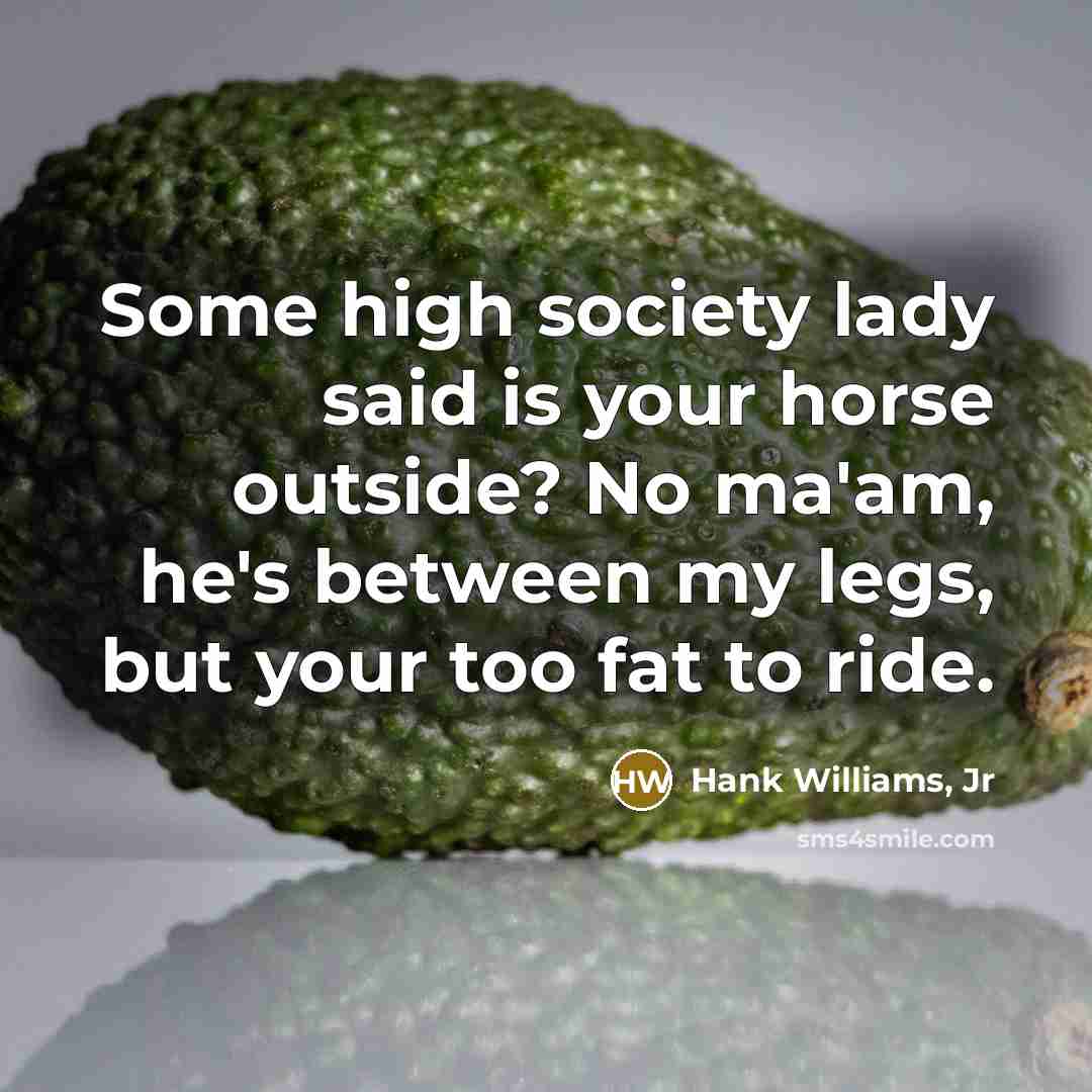 “Some high society lady said is your horse outside? No…” quote by Hank Williams, Jr