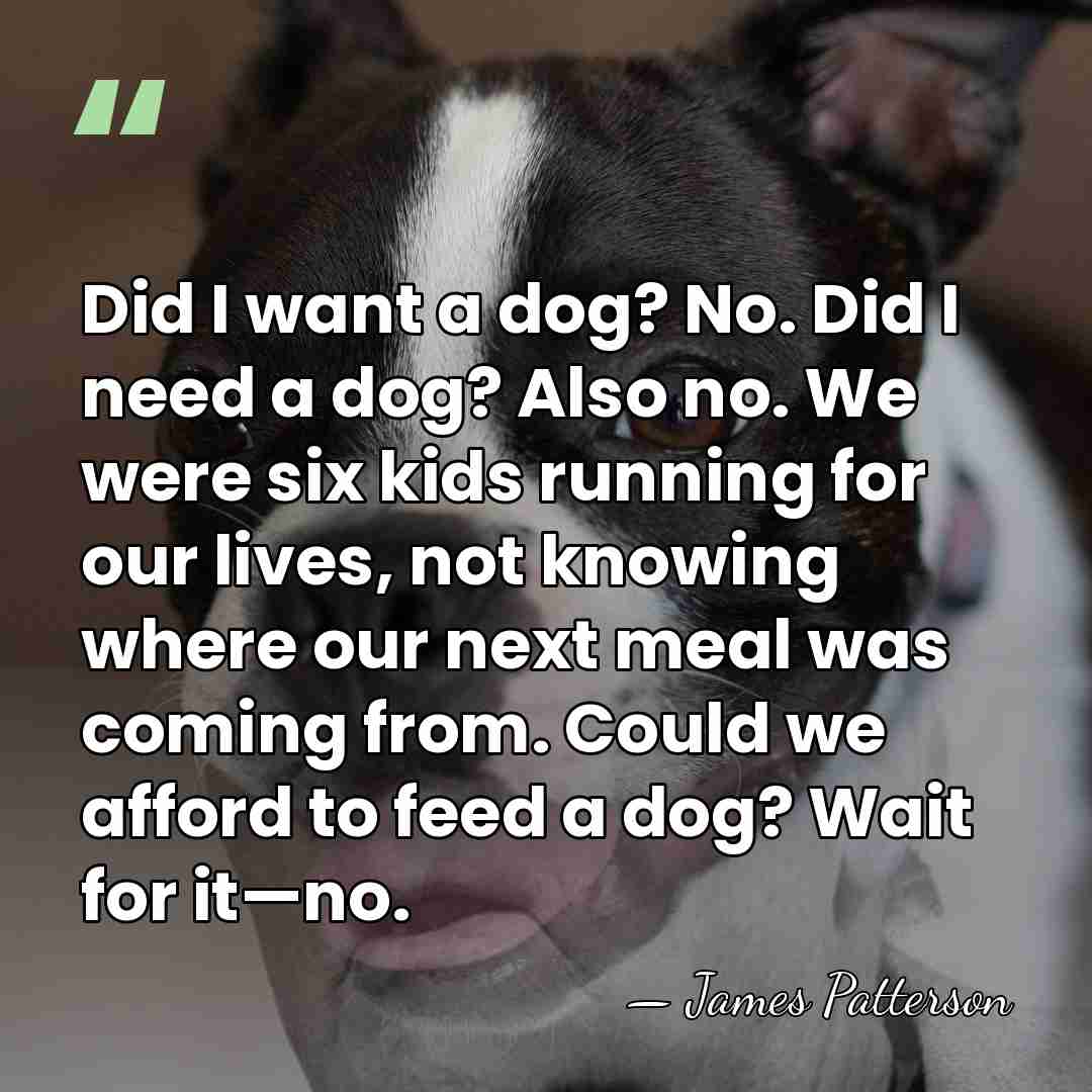 Did I want a dog? No. Did I need a dog? Also&hellip; - James Patterson