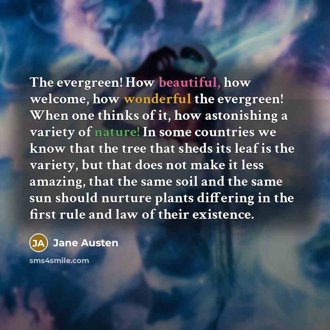 “The evergreen! How beautiful, how welcome, how wonderful the evergreen!…” quote by Jane Austen