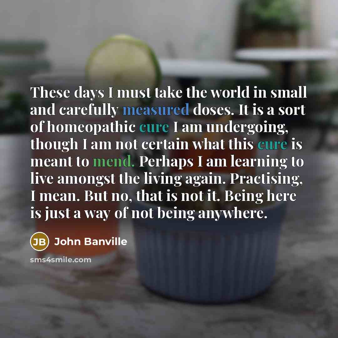 “These days I must take the world in small and…” quote by John Banville