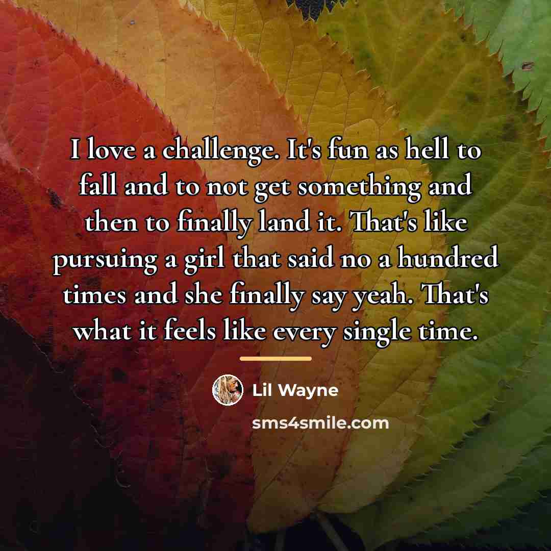 “I love a challenge. It's fun as hell to fall…” quote by Lil Wayne