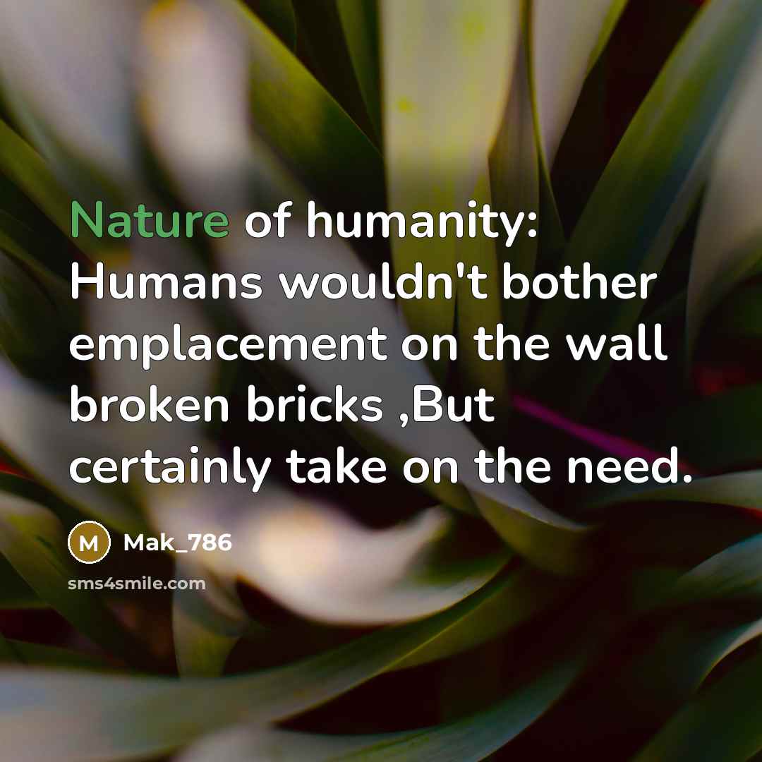 “Nature of humanity: Humans wouldn't bother emplacement on the wall…” quote by Mak_786