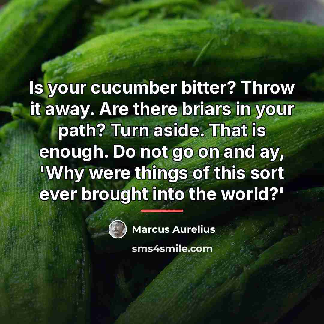 “Is your cucumber bitter? Throw it away. Are there briars…” quote by Marcus Aurelius