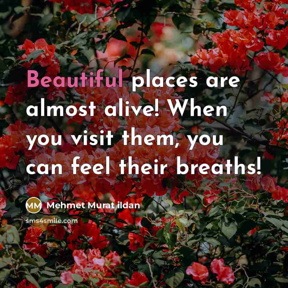“Beautiful places are almost alive! When you visit them, you…” quote by Mehmet Murat Ildan
