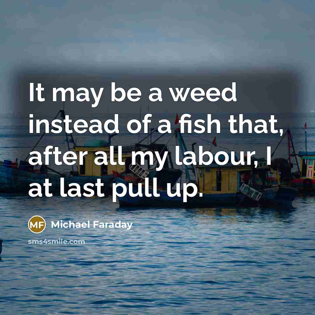 “It may be a weed instead of a fish that,…” quote by Michael Faraday