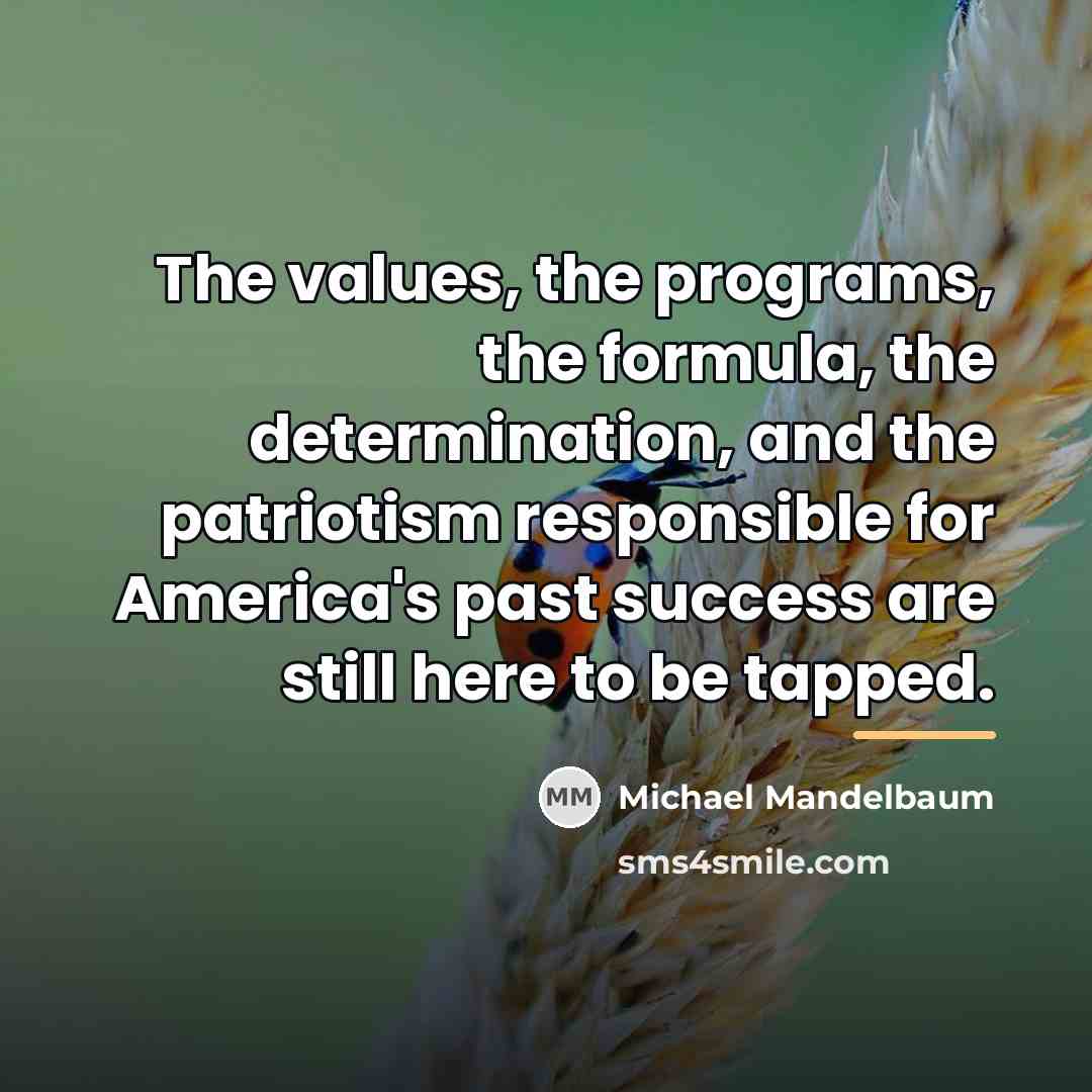 “The values, the programs, the formula, the determination, and the…” quote by Michael Mandelbaum