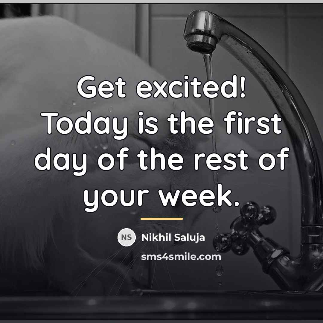 “Get excited! Today is the first day of the rest…” quote by Nikhil Saluja