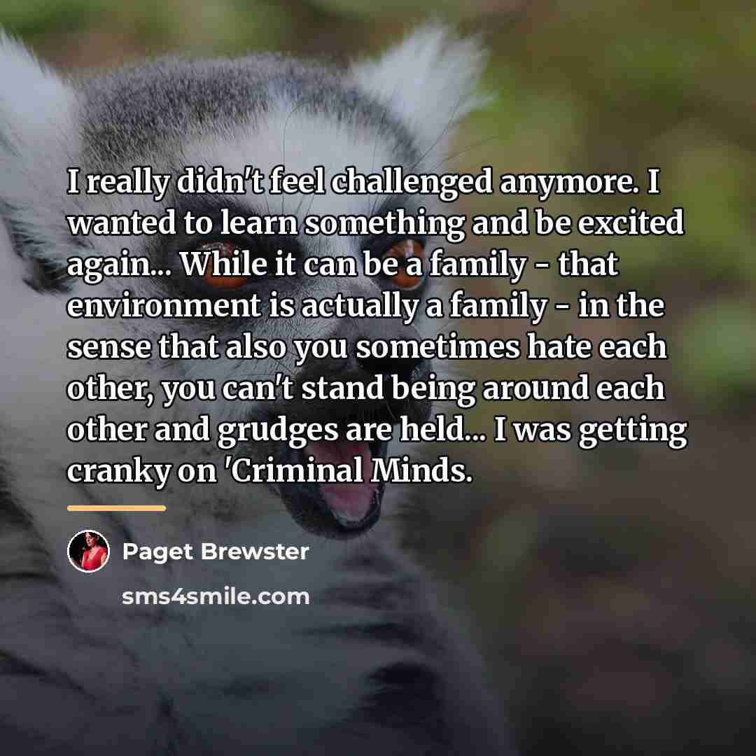 “I really didn't feel challenged anymore. I wanted to learn…” quote by Paget Brewster
