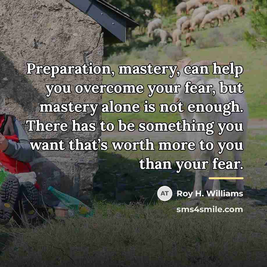 “Preparation, mastery, can help you overcome your fear, but mastery…” quote by Roy H. Williams