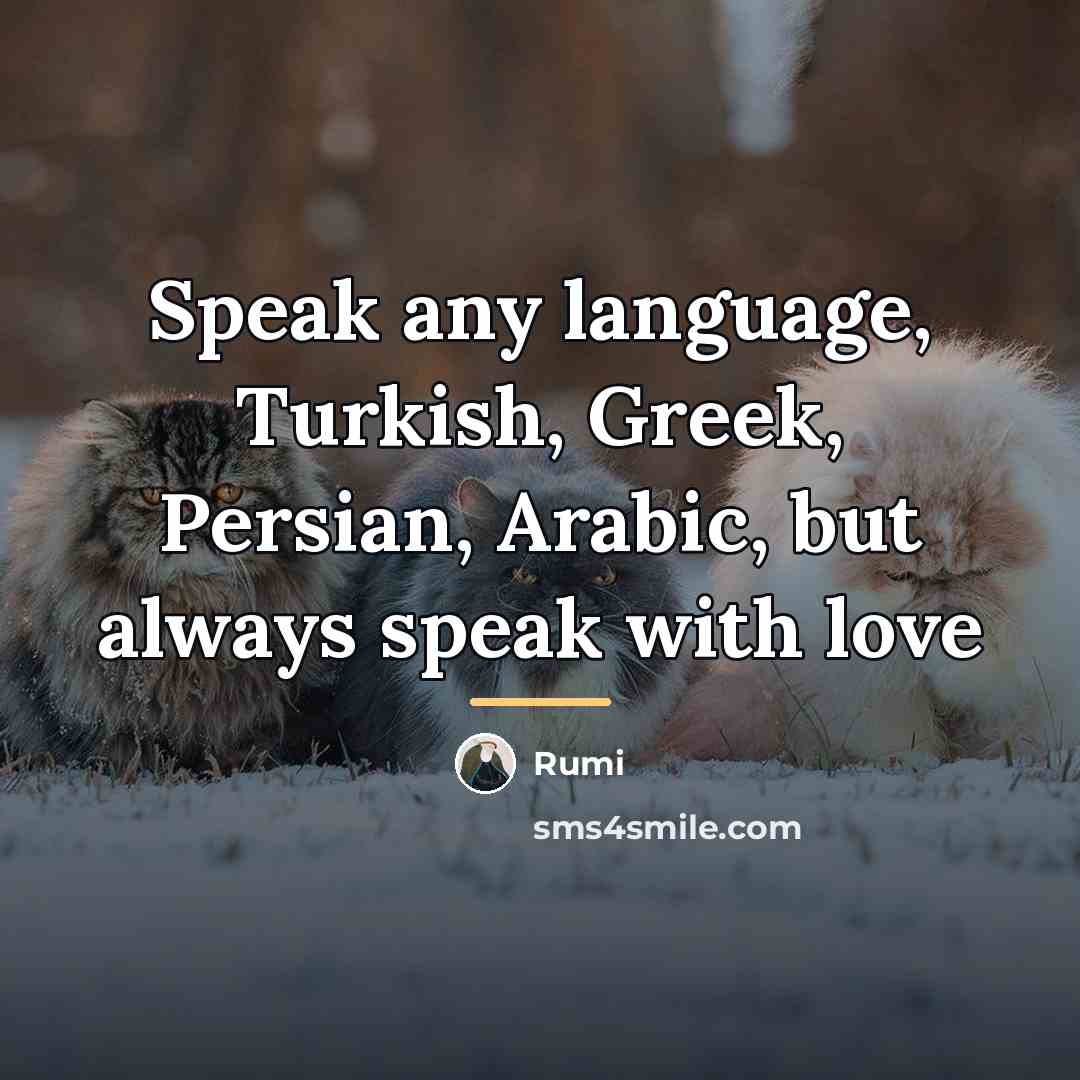 “Speak any language, Turkish, Greek, Persian, Arabic, but always speak…” quote by Rumi