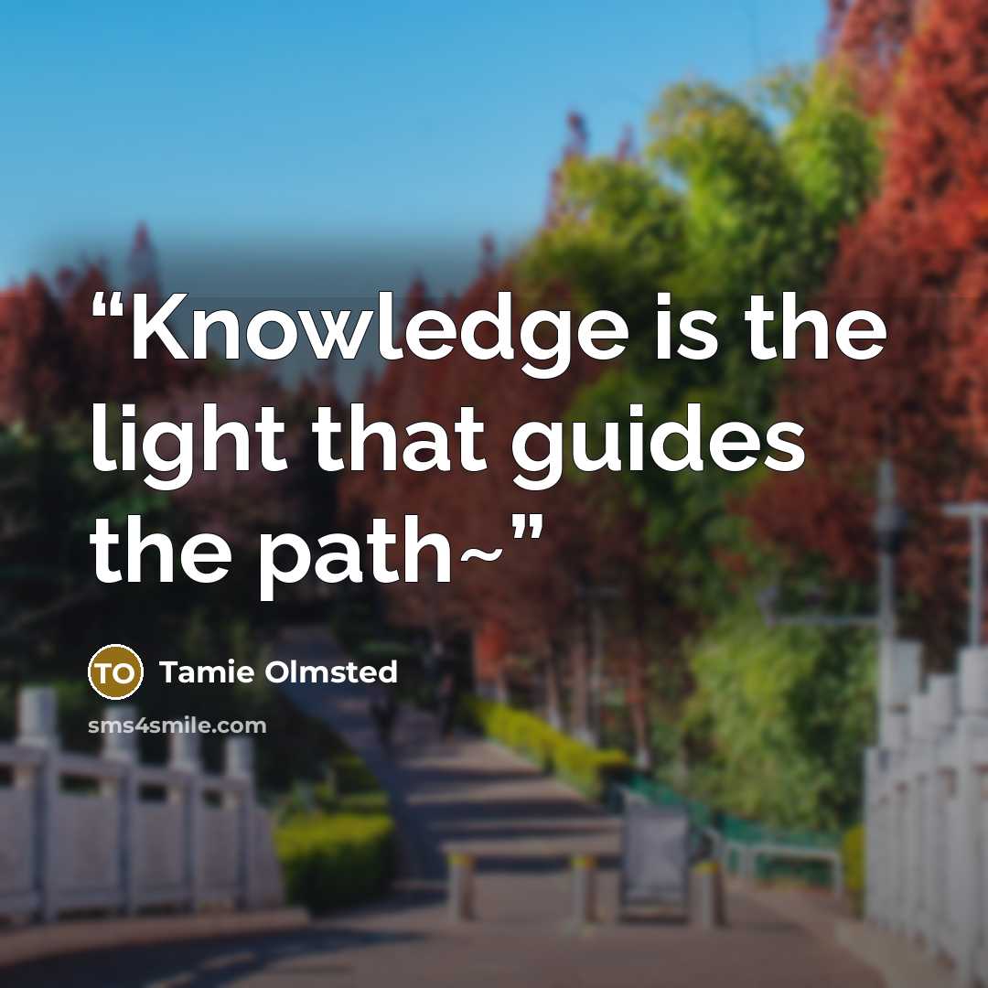 “Knowledge is the light that guides the path~” quote by Tamie Olmsted
