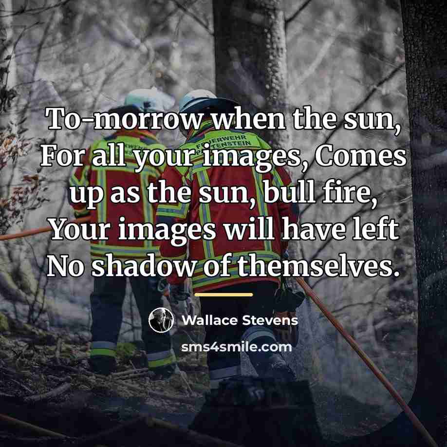“To-morrow when the sun, For all your images, Comes up…” quote by Wallace Stevens