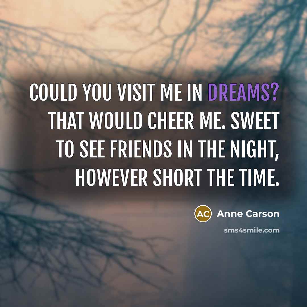 “Could you visit me in dreams? That would cheer me.…” quote by Anne Carson