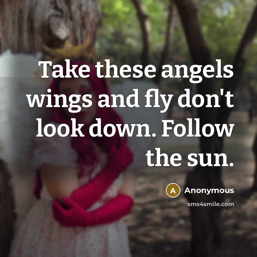 “Take these angels wings and fly don't look down. Follow the sun.” quote by Anonymous