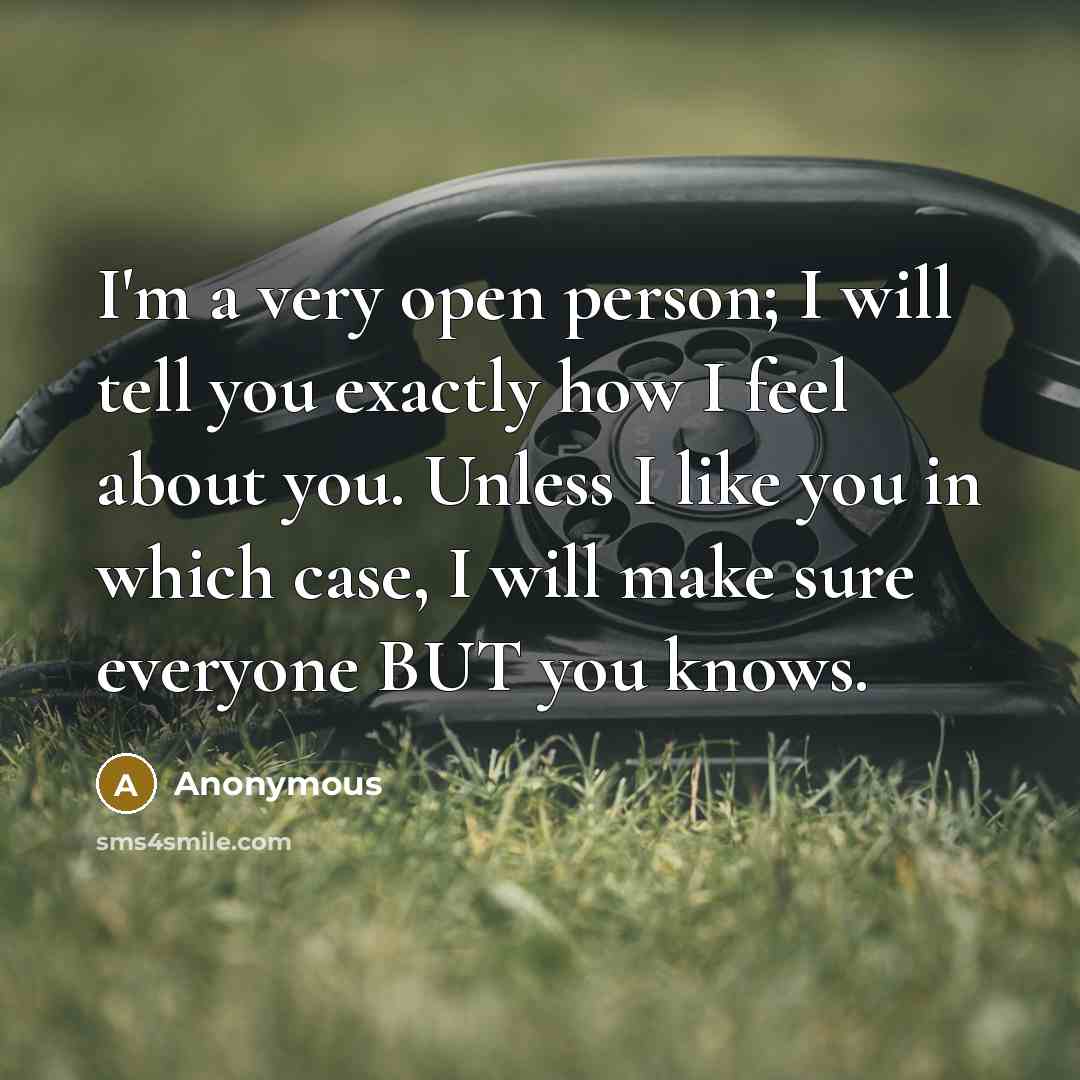 “I'm a very open person; I will tell you exactly how I feel about you. Unless I like you in which case, I will make sure everyone BUT you knows.” quote by Anonymous