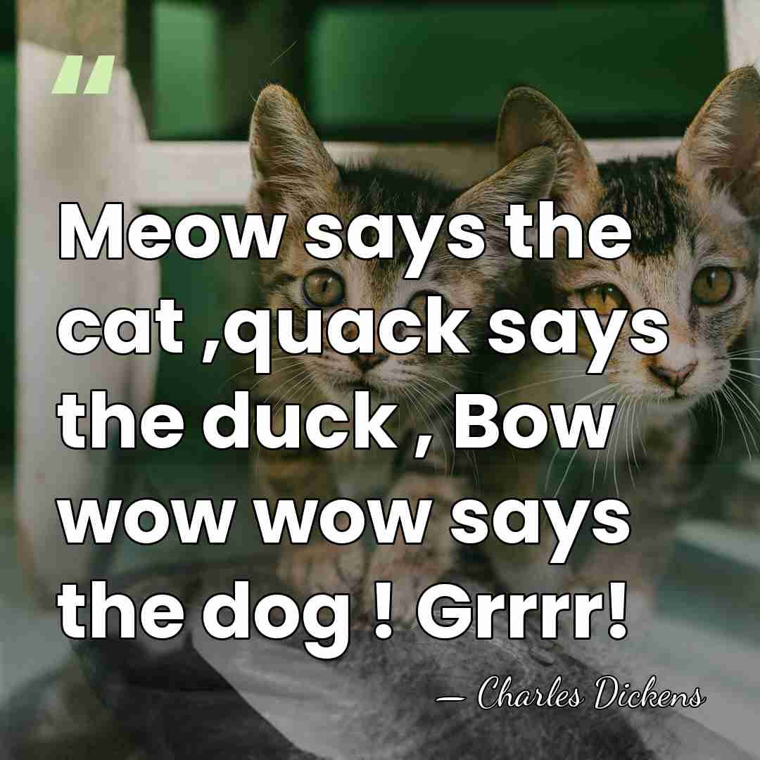 Meow says the cat ,quack says the duck , Bow wow wow&hellip; - Charles Dickens