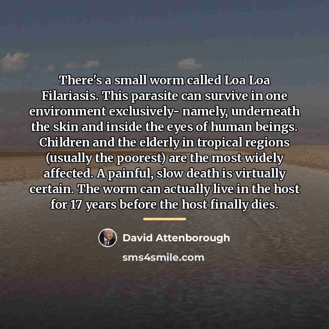 “There's a small worm called Loa Loa Filariasis. This parasite…” quote by David Attenborough